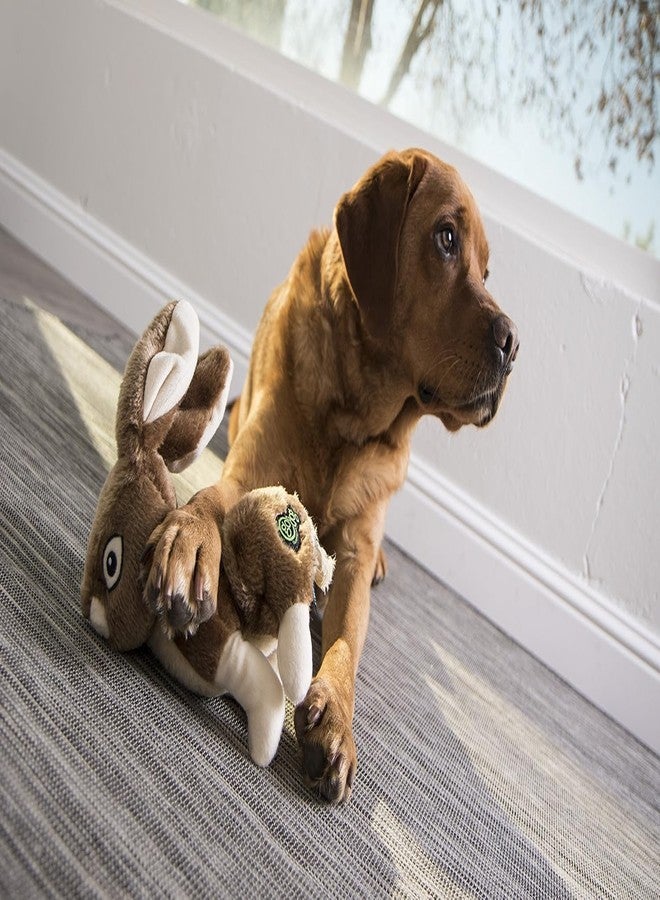 Nutra Pet The Rabbit Dog Toy | Soft Plush Squeaky Toy for Dogs | Durable, Cuddly & Interactive Chew Toy for Small & Medium Breeds - Image 2